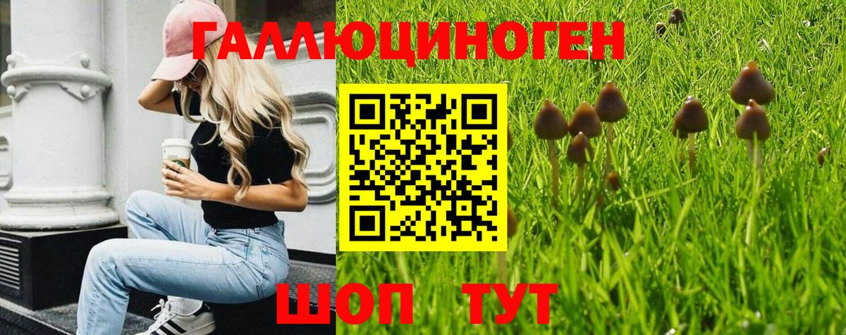 Псилоцибиновые грибы мухоморы Видное